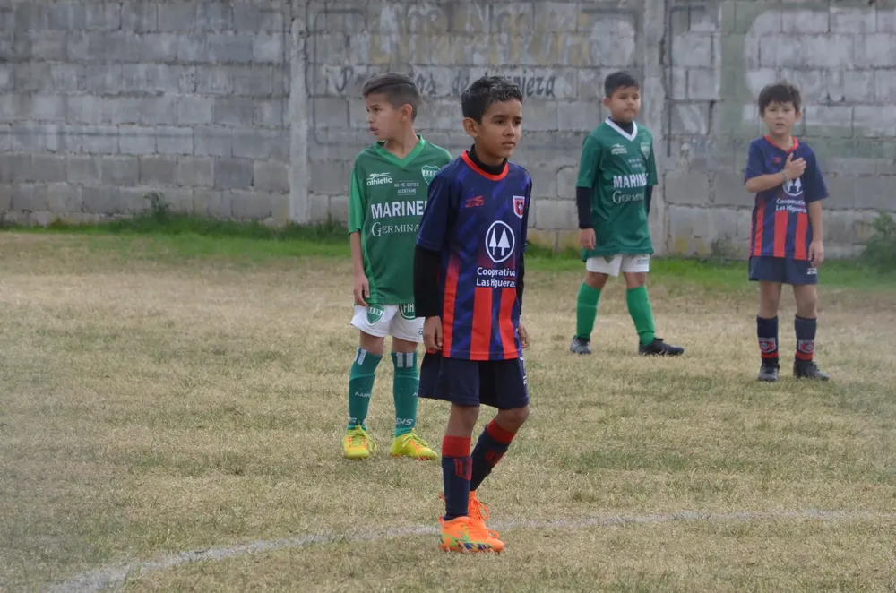 Centro Social Infanto Everton Banda Norte Socialeritas (21)