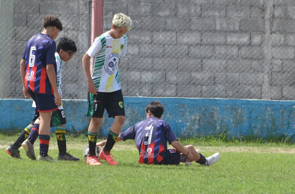 WhatsApp Image 2024-09-23 at 16.31.48 (1)