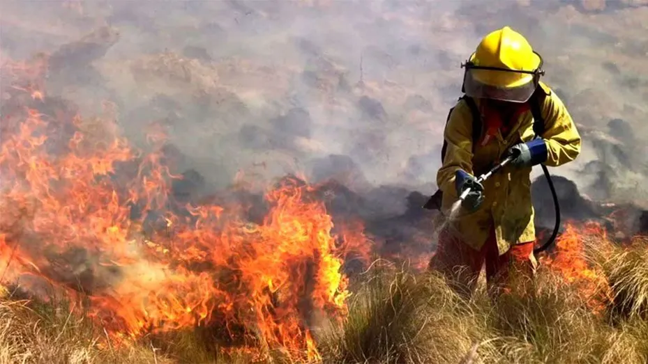 INCENDIO