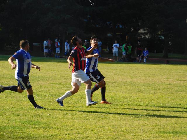 Profesionales vs fusión profesionales 08122020_5