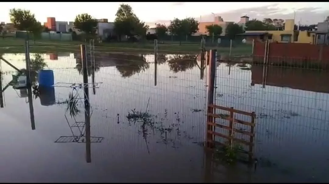 WhatsApp Image 2022-06-21 at 11.42.12 PM