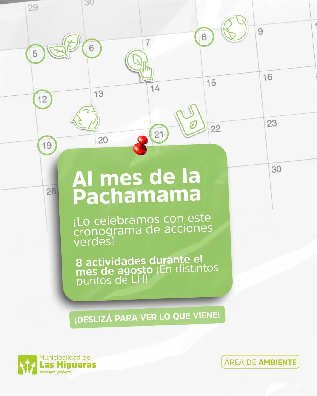 Imagen de WhatsApp 2025-08-01 a las 11.10.07_d59412da