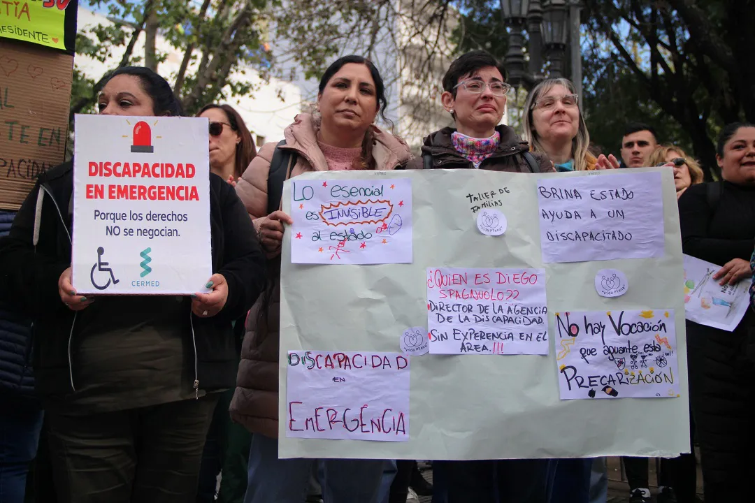 discapacidad (1)