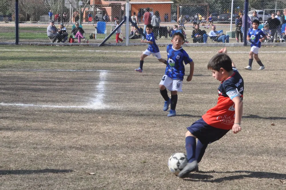 Centro Social Infanto Juvenil Renato Cesarini Olaeta Socialeritas (251)
