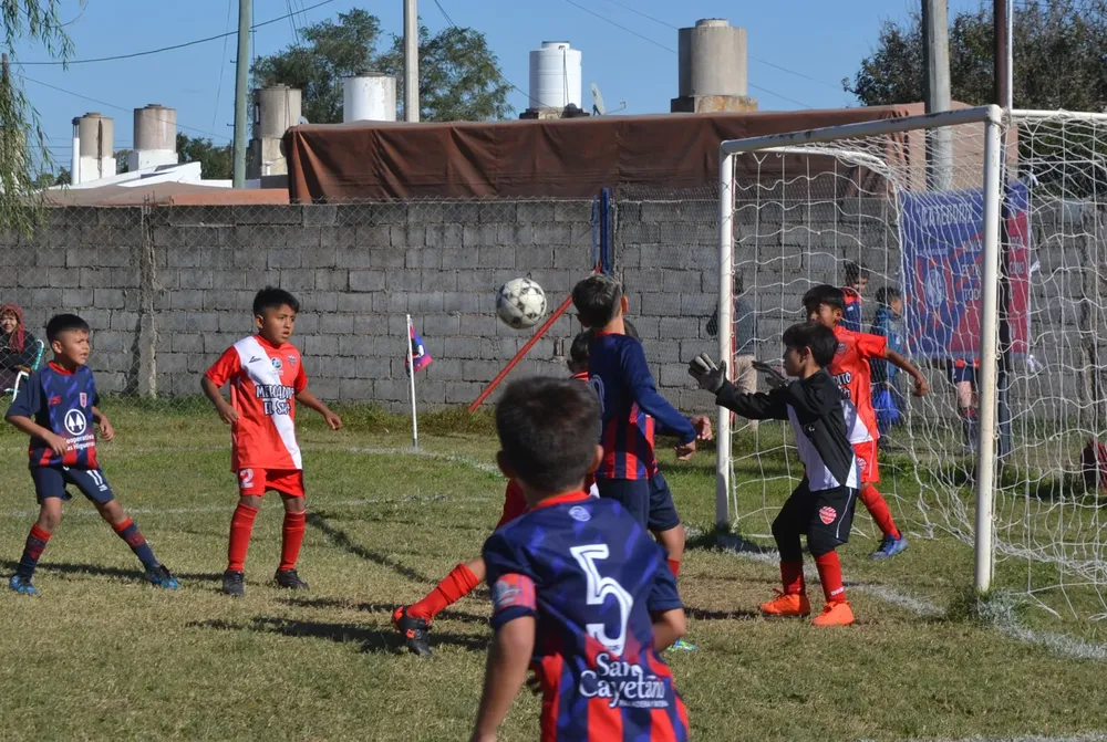 WhatsApp Image 2024-05-12 at 16.46.42