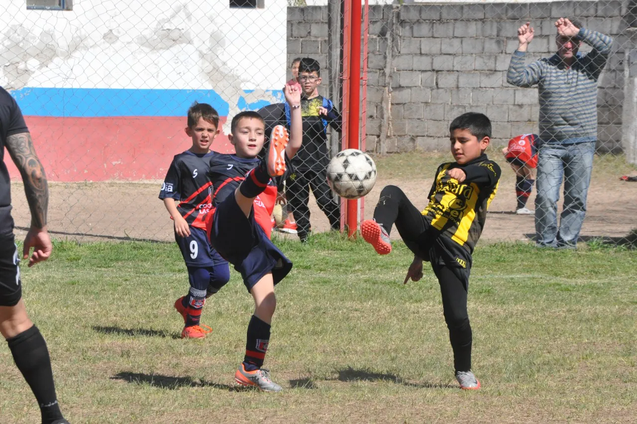 Centro Social Deportivo Municipal Acción Juvenil Socialeritas (21)