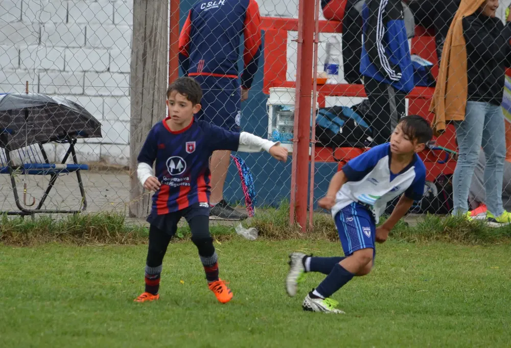 WhatsApp Image 2024-11-04 at 19.36.37