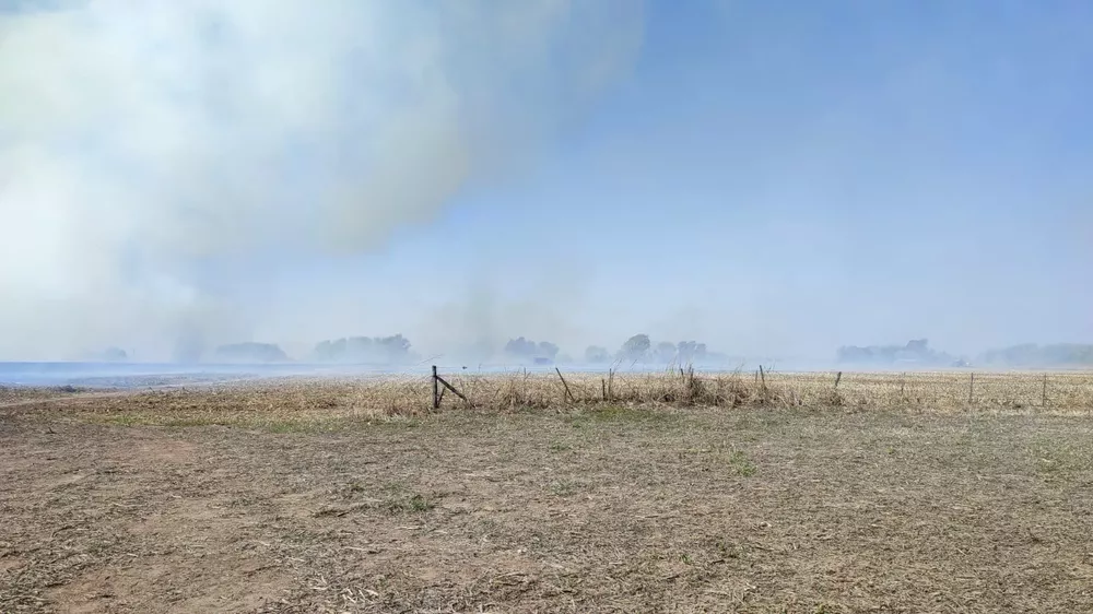 INCENDIO EN LA ZONA (1)