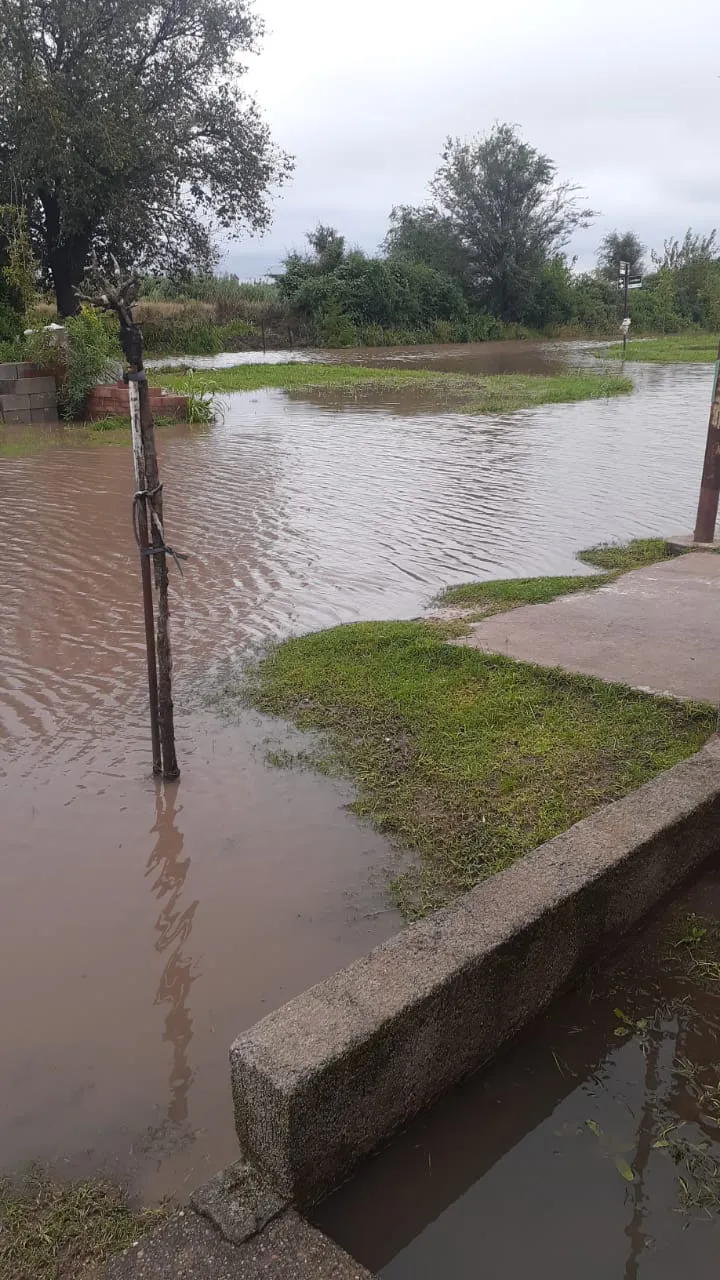 WhatsApp Image 2025-03-24 at 17.58.15