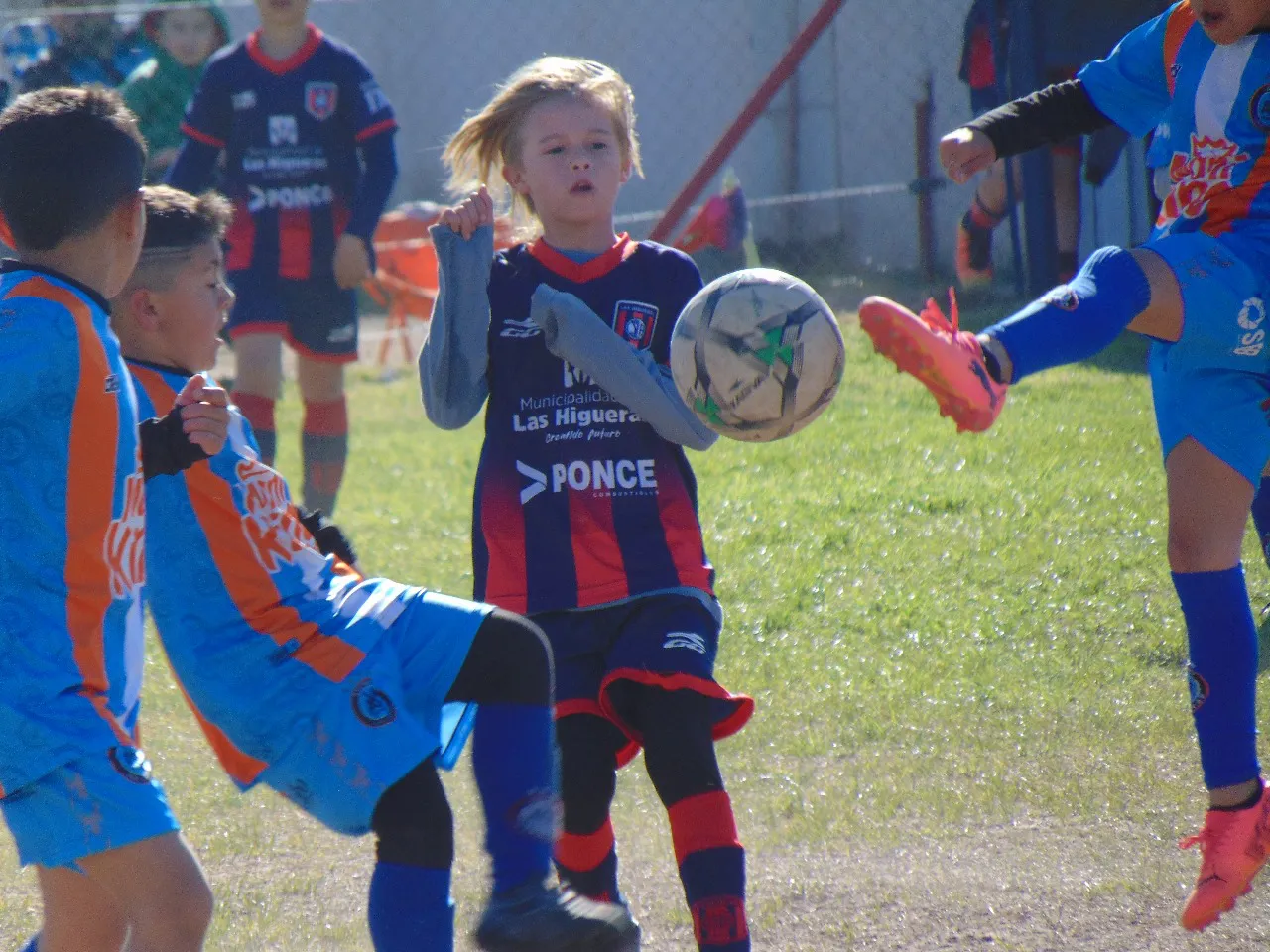 16c5ff4a17c647adb96d1afdaa78d1f3