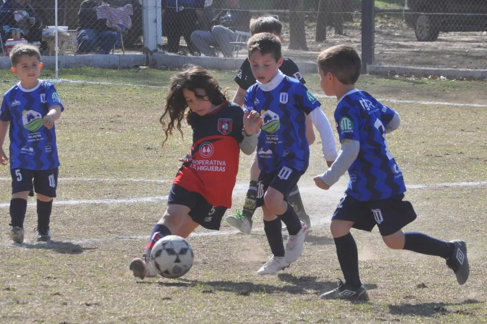 Centro Social Infanto Juvenil Renato Cesarini Olaeta Socialeritas (246)