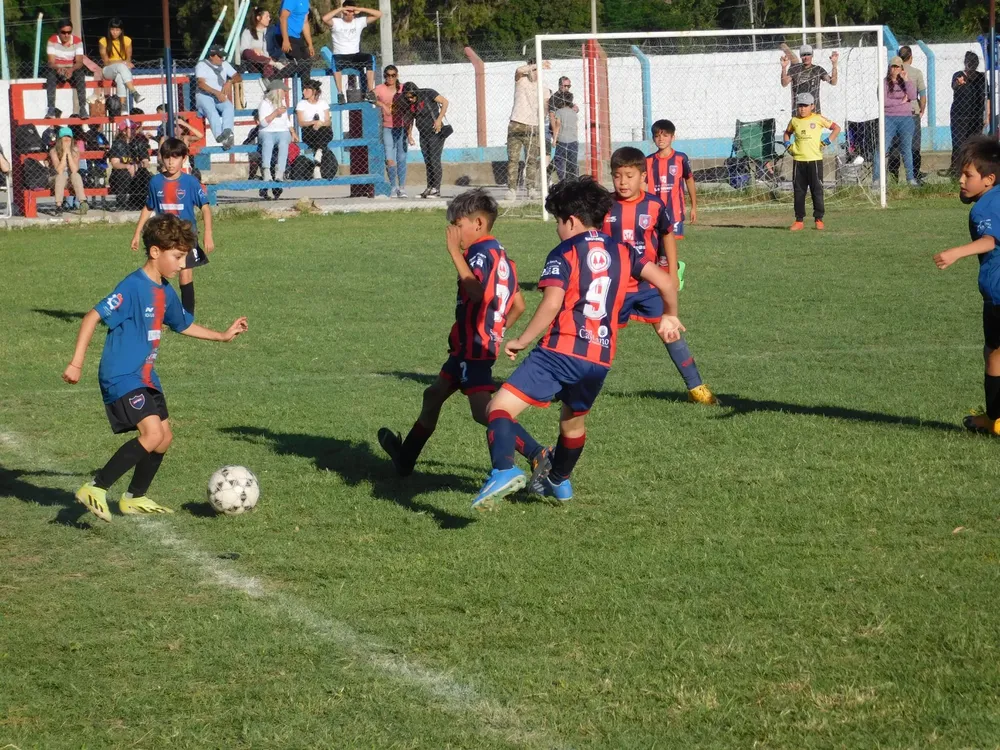 WhatsApp Image 2024-11-04 at 19.12.47 (21)