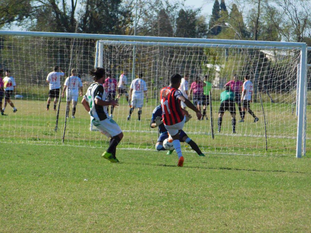 Profesionales vs Fusion com_14