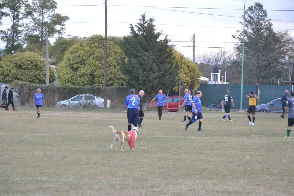 WhatsApp Image 2024-05-24 at 17.30.07 (2)