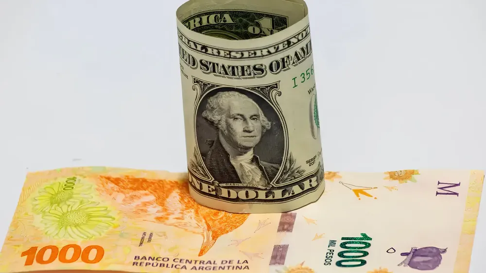 Imagen de WhatsApp 2023-10-10 a las 13.16.18_f2128eea (1)