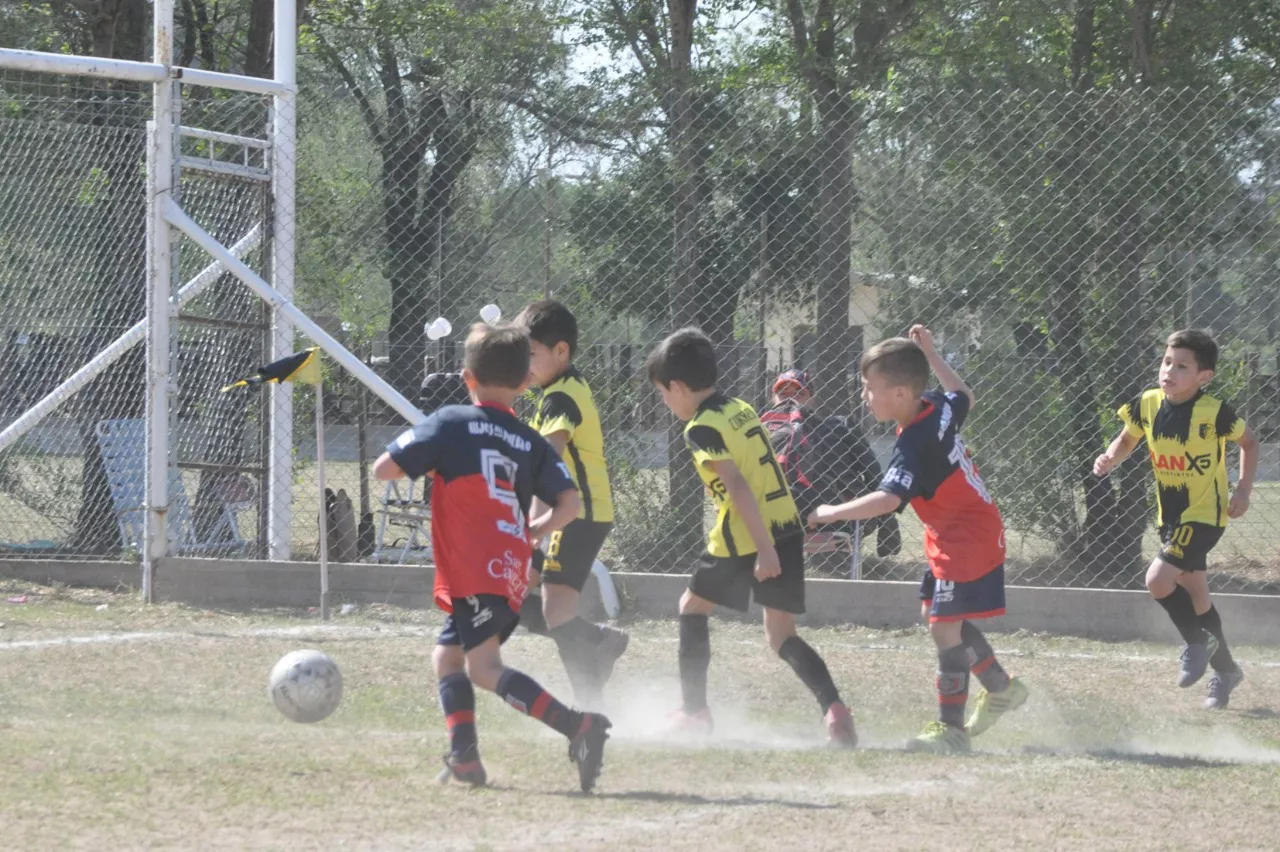 Centro Social Las Higueras Correos y Telecomunicaciones Deportivo Municipal Adela María (34)