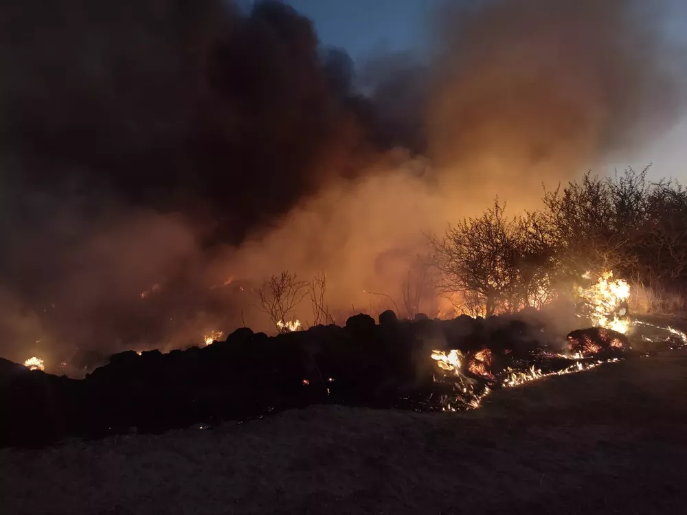 WhatsApp Image 2022-08-22 at 7.57.03 PM (1)