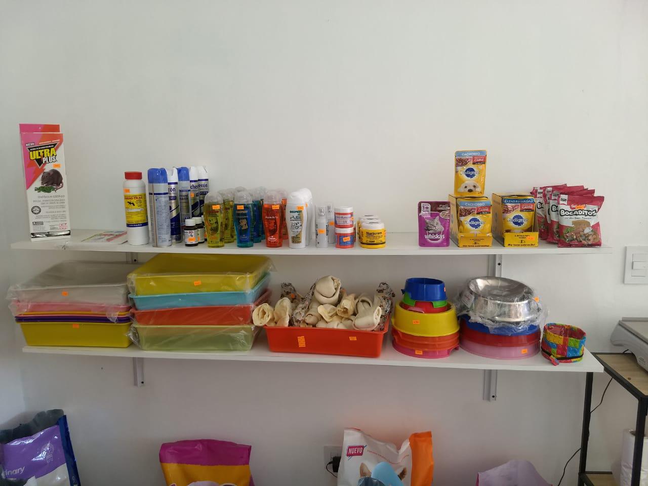 NICOLÁS VETERINARIA (4)