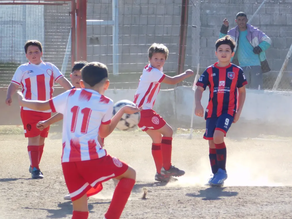 Centro Social Sp Municipal Confraternidad Infanto Juvenil (143)