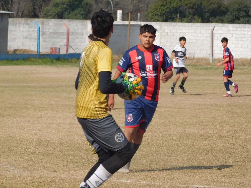 WhatsApp Image 2024-08-19 at 15.07.52 (4)