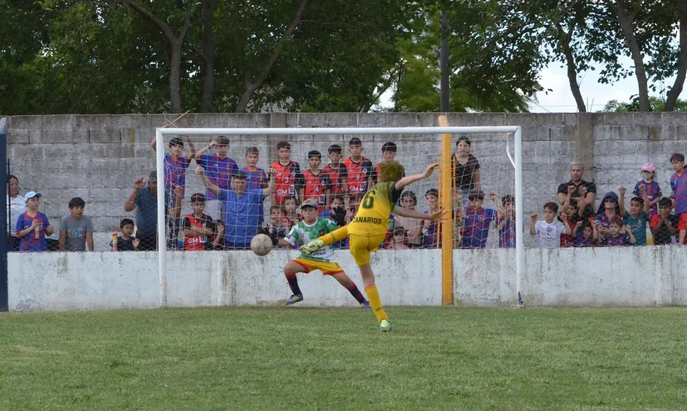 WhatsApp Image 2025-11-08 at 20.54.20 (14)