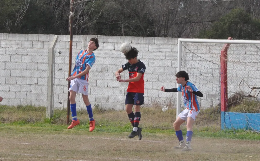 Centro Social Las Higueras Infanto Juvenil Ateneo Vecinos (158)