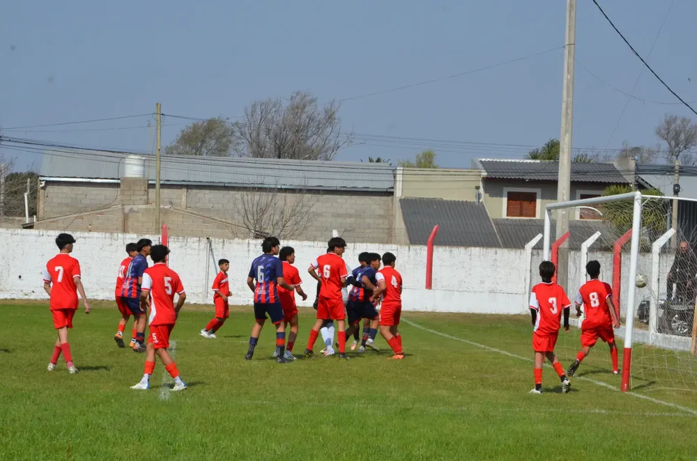 WhatsApp Image 2024-08-18 at 19.33.52