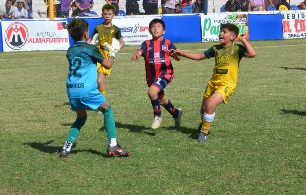 WhatsApp Image 2025-11-08 at 20.54.19 (1)