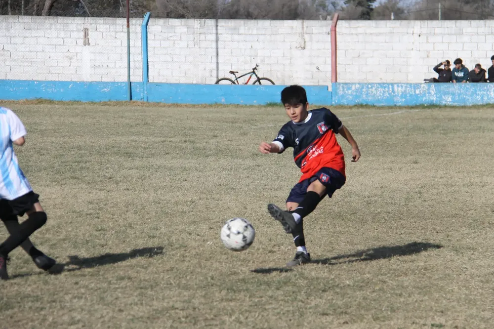 Centro Social Alberdi Everton (202)