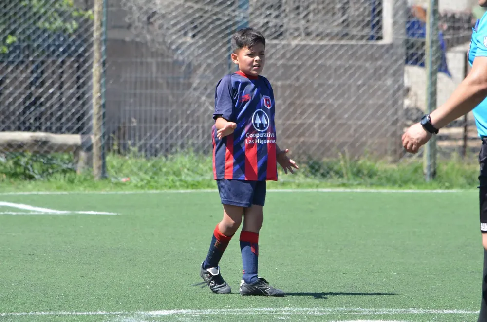 WhatsApp Image 2024-10-28 at 18.43.31 (2)