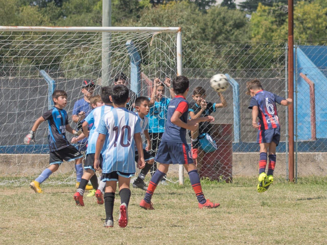 WhatsApp Image 2021-03-25 at 00.11.08