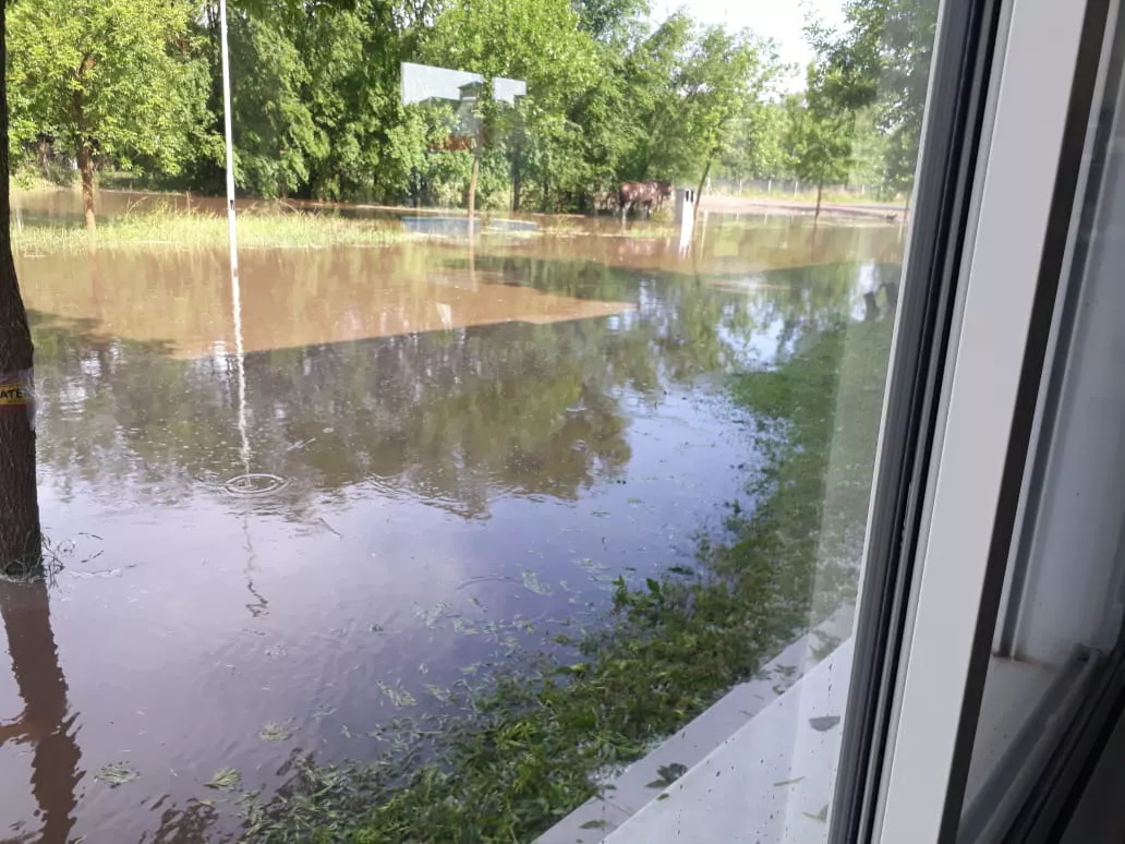 WhatsApp Image 2022-06-21 at 11.41.48 PM (1)