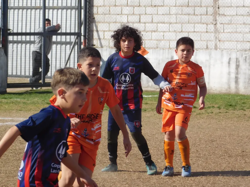 Centro Social Infanto Juvenil Renato Cesarini Olaeta Socialeritas (214)