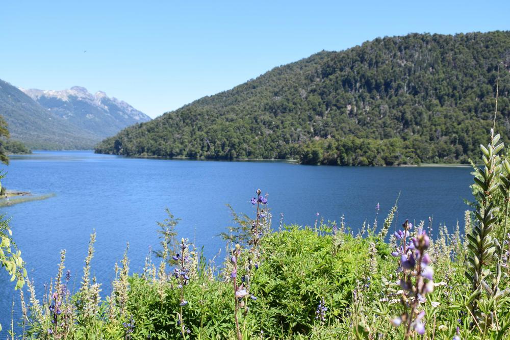 San Martin de los Andes