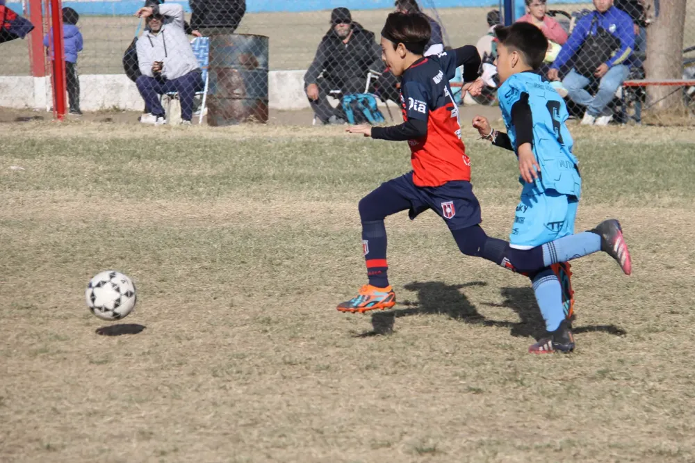 Centro Social San Basilio Santa Paula (256)