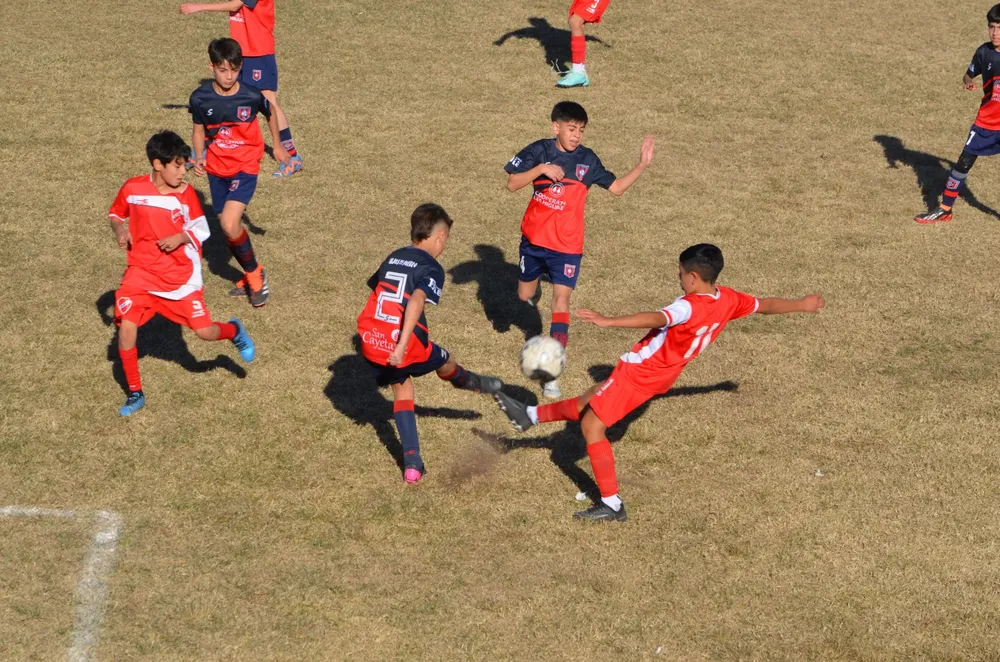 Centro Social Sp Municipal Confraternidad Infanto Juvenil (79)