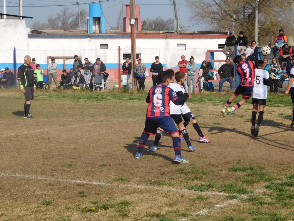 WhatsApp Image 2024-08-19 at 15.07.52 (18)