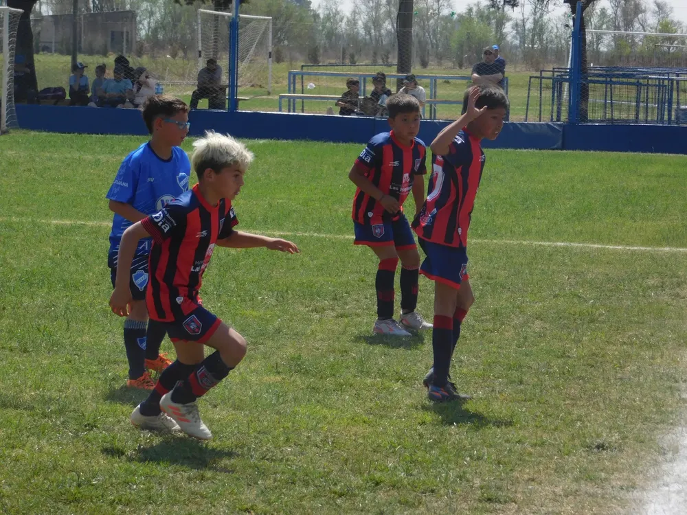 WhatsApp Image 2024-09-23 at 16.49.21 (1)