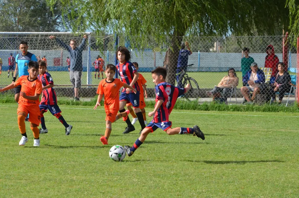 WhatsApp Image 2025-03-31 at 16.37.58