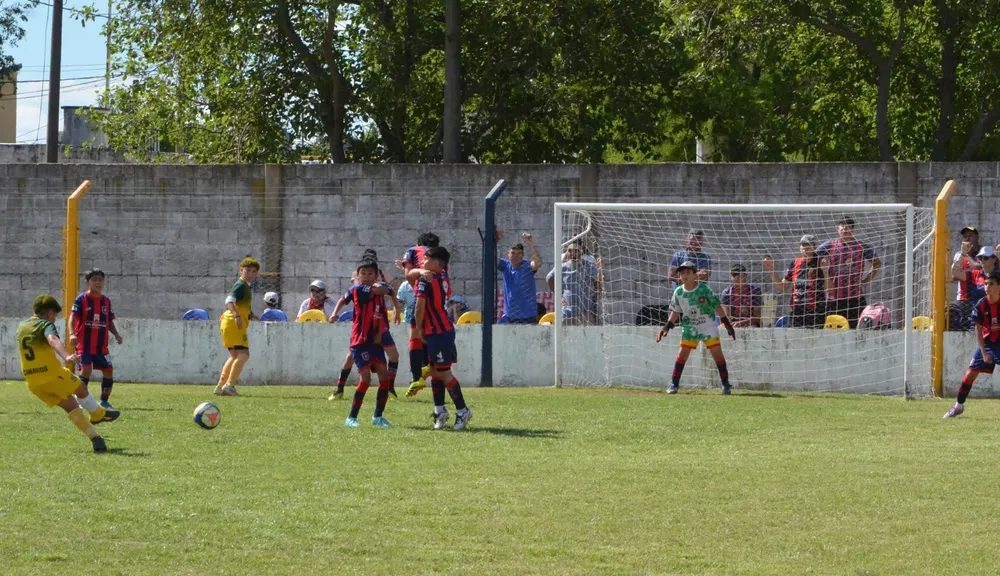 WhatsApp Image 2025-11-08 at 20.54.15 (2)