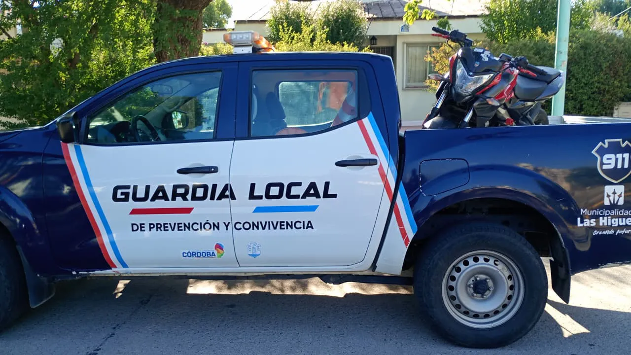 WhatsApp Image 2026-01-11 at 20.52.01