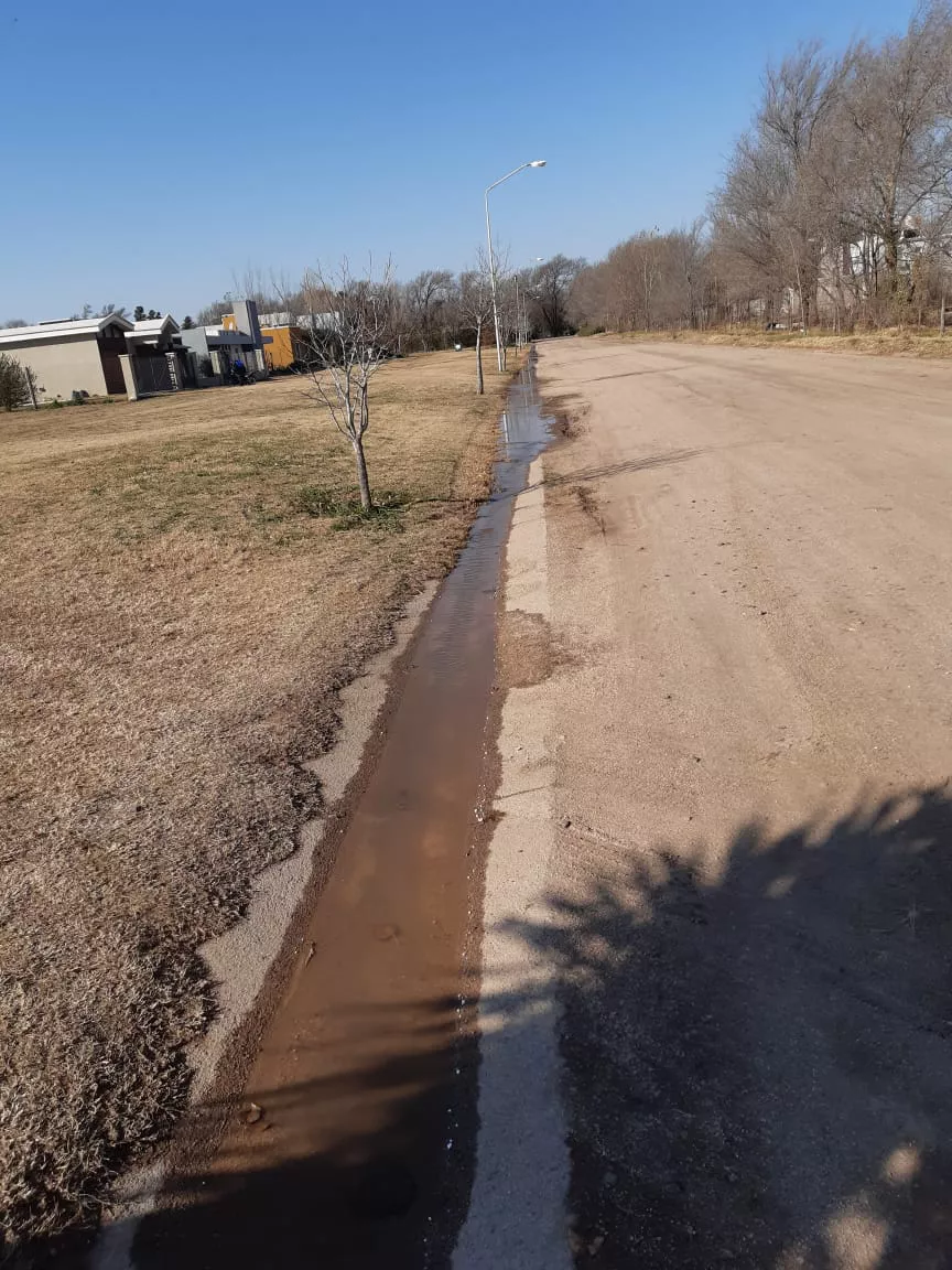 RECLAMO SIRIO LIBANÉS (2)