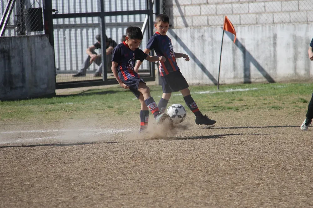 Centro Social Infanto Juvenil Renato Cesarini Olaeta Socialeritas (69)