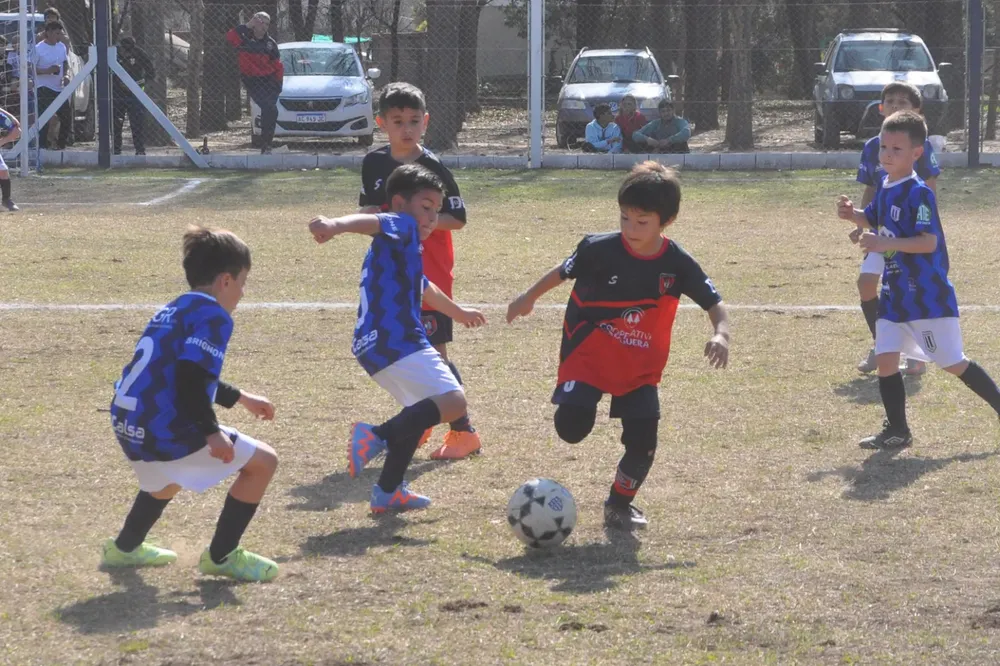 Centro Social Infanto Juvenil Renato Cesarini Olaeta Socialeritas (268)