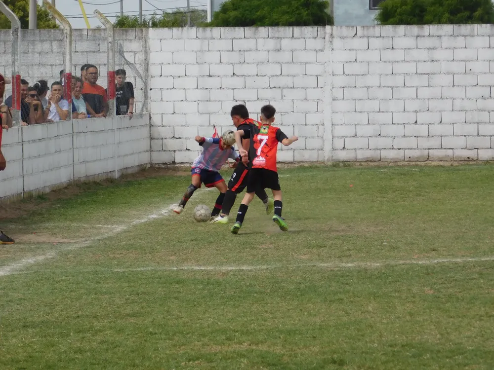 WhatsApp Image 2024-11-17 at 18.08.18 (9)