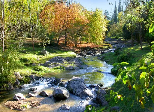 Captura de pantalla 2025-04-06 180241