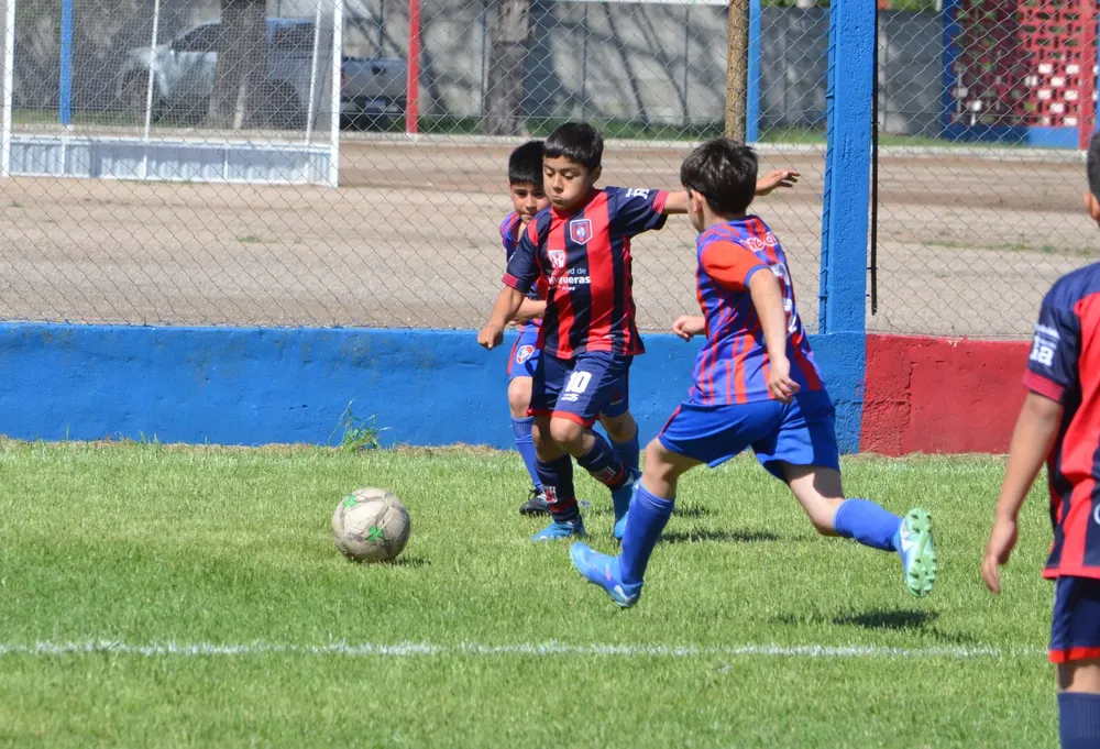 IMG-20251028-WA0118