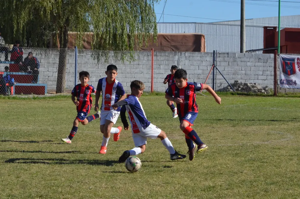 IMG-20250531-WA0115