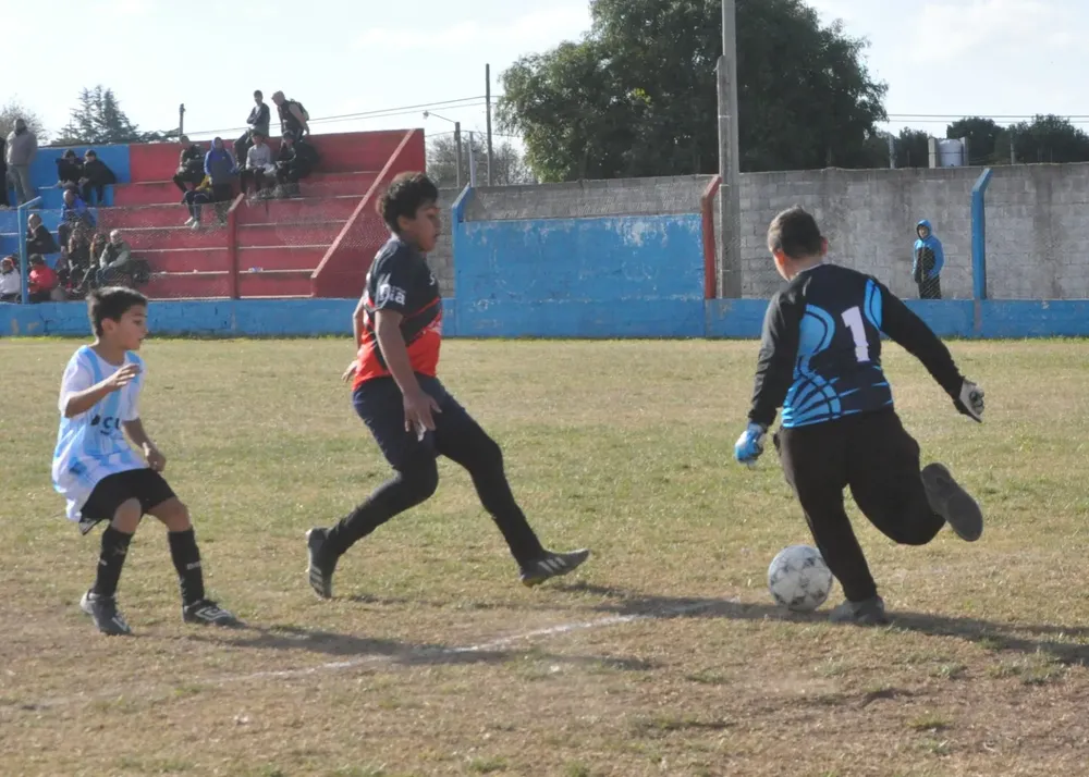 Centro Social Alberdi Everton (100)