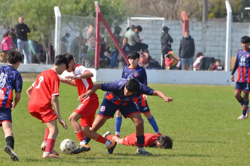 WhatsApp Image 2024-08-18 at 19.33.52 (4)